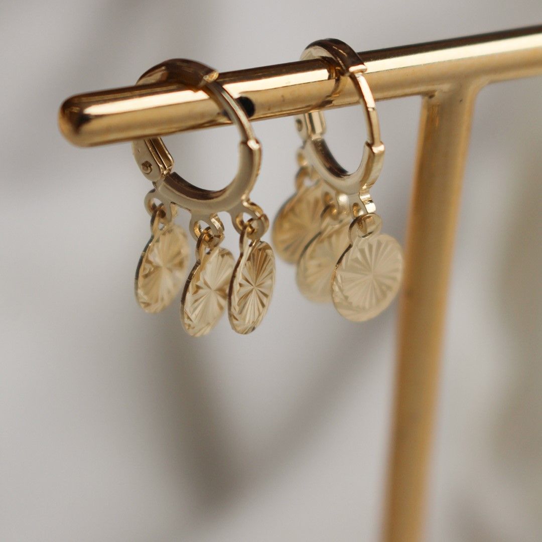 Brinco Argolinha Ana Laura Medalha Folheado a Ouro 18k