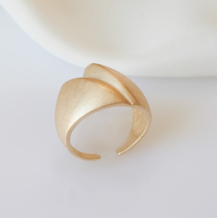 Anel Ajustável Mariana Acetinado Folheado a Ouro 18k