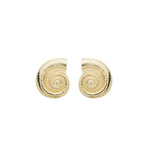 Brinco Valentina Concha Folheado a Ouro 18k