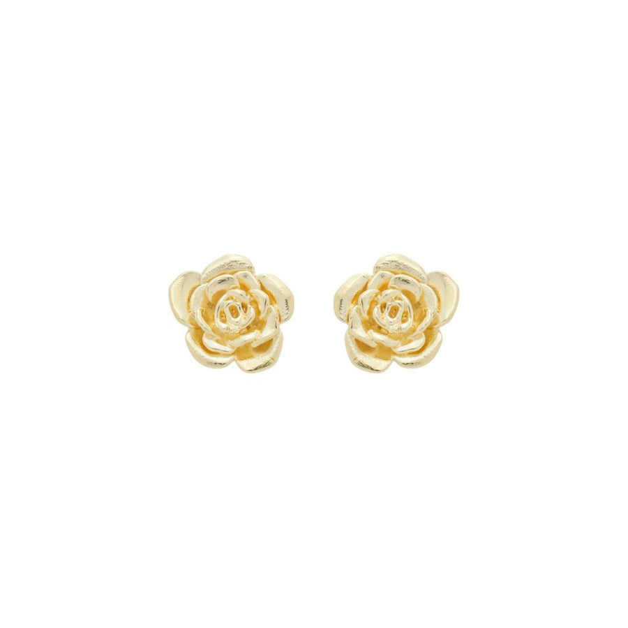 Brinco Aurora Rosa Metal Folheado a Ouro 18k