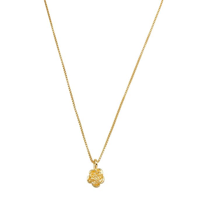 Colar Aurora Mini Rosa Metal Folheado a Ouro 18k