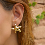 Brinco Fiorella Estrela do Mar Folheado a Ouro 18k