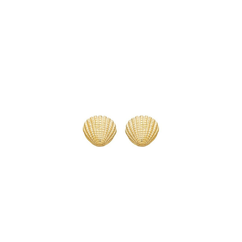 Brinco Concha Malu Texturizado Folheado a Ouro 18k