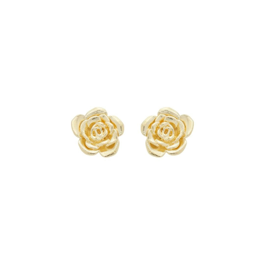 Brinco Aurora Rosa Metal Folheado a Ouro 18k - Piuka
