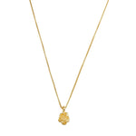 Colar Aurora Mini Rosa Metal Folheado a Ouro 18k - Piuka