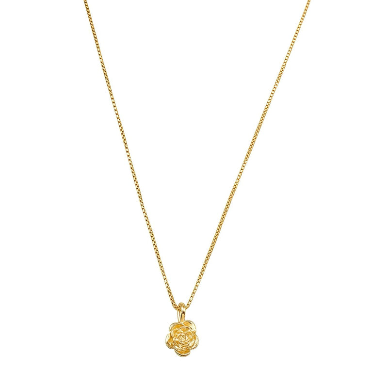 Colar Aurora Mini Rosa Metal Folheado a Ouro 18k - Piuka