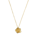 Colar Aurora Rosa Metal Folheado a Ouro 18k - Piuka